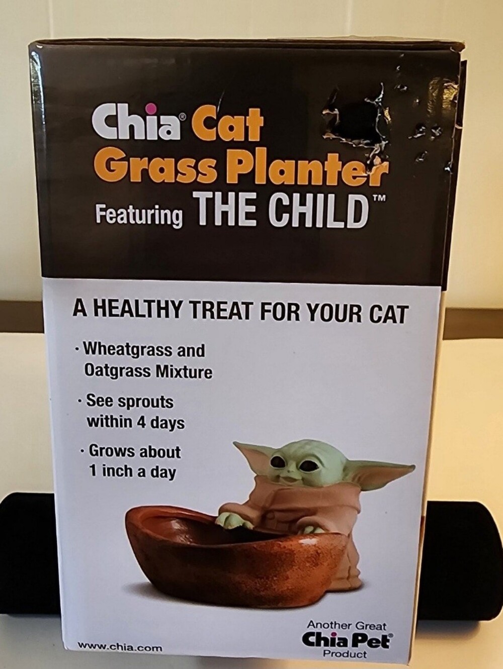 Star Wars Mandalorian  Chia Cat Grass  Planter Grower Baby Yoda.